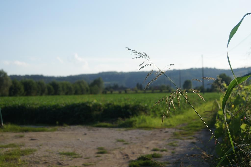 Willa Agriturismo Alla Corte Costabissara Zewnętrze zdjęcie